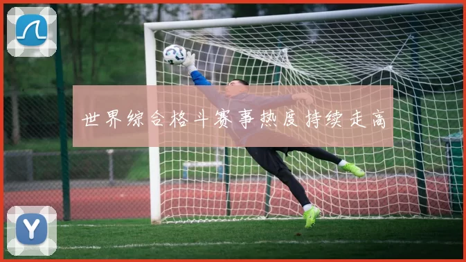 世界综合格斗赛事热度持续走高