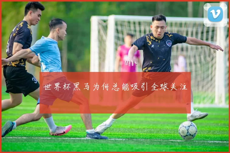 世界杯黑马为何总能吸引全球关注