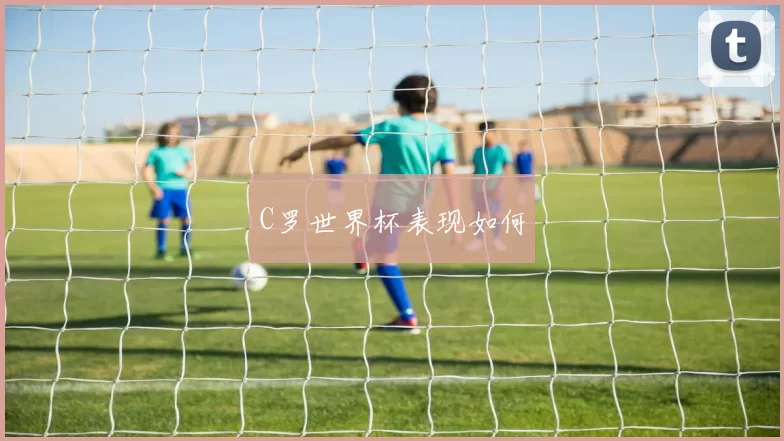 C罗世界杯表现如何